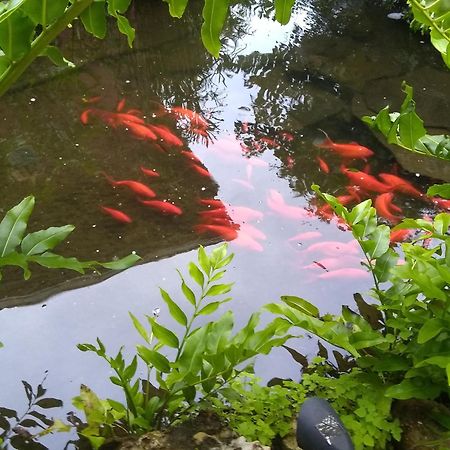 Cape Coral Paradise - Amazing View Екстериор снимка